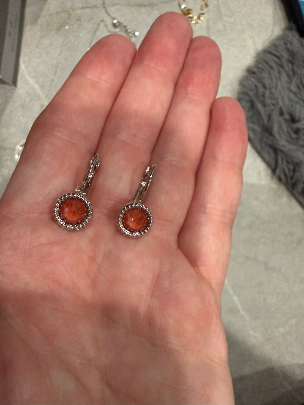 Silver Drop Earrings with a Stone